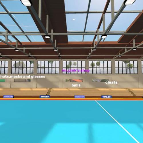 Arena Image