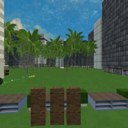 Arena Image