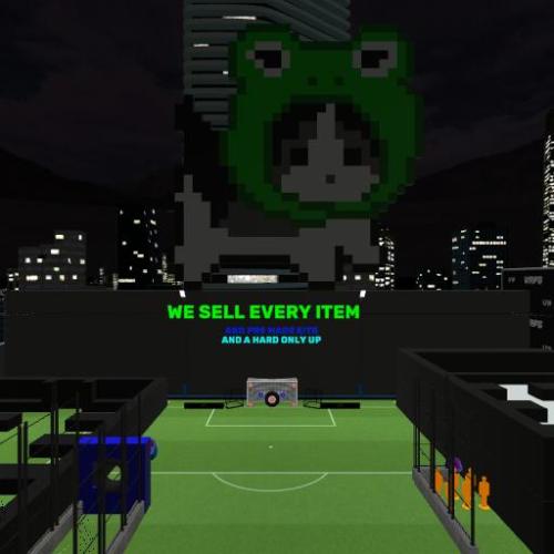 Arena Image