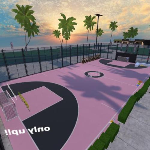 Arena Image