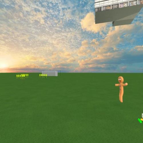 Arena Image