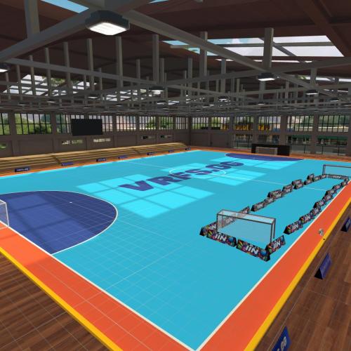 Arena Image