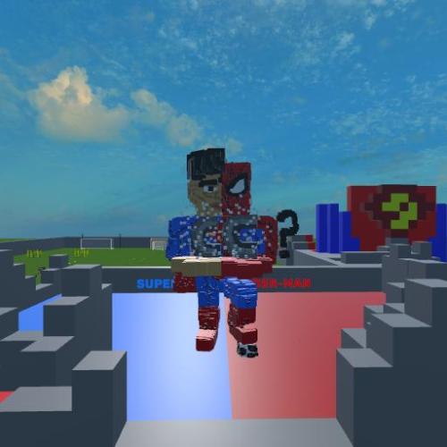 Arena Image