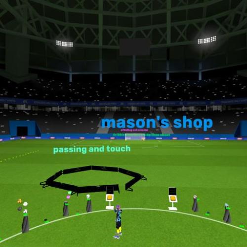 Arena Image
