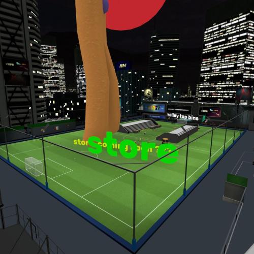 Arena Image