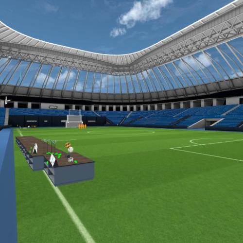 Arena Image