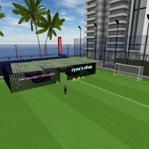 Arena Image