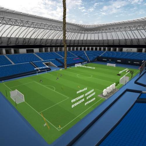 Arena Image