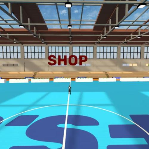 Arena Image