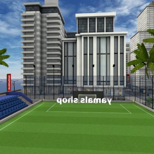 Arena Image