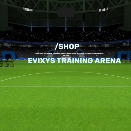 Arena Image