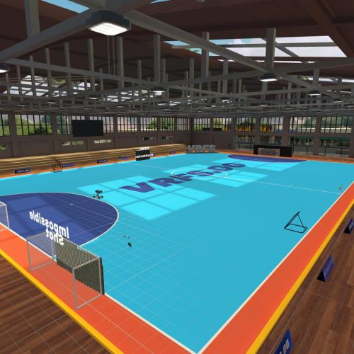 Arena Image