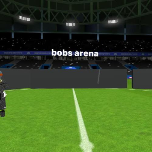 Arena Image