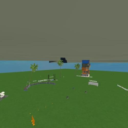 Arena Image