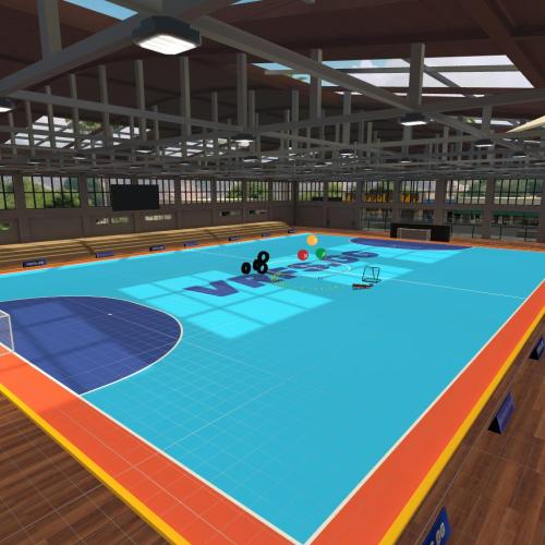 Arena Image