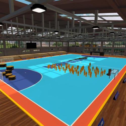 Arena Image