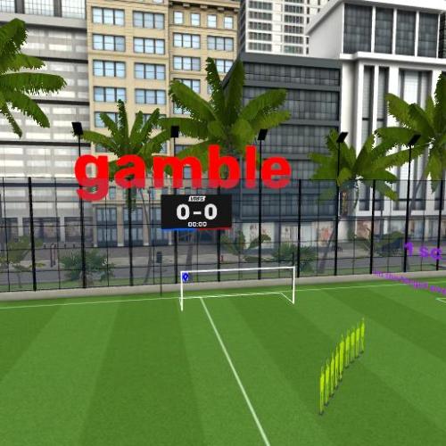 Arena Image