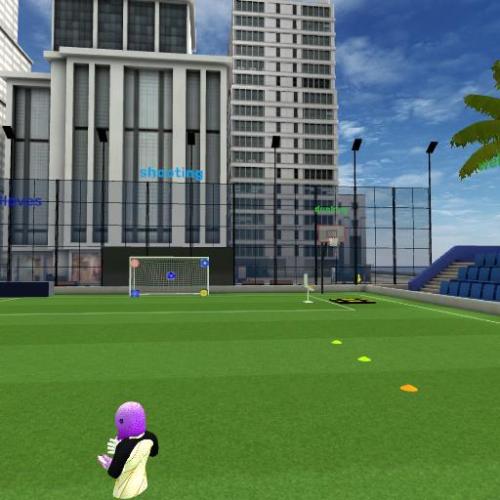 Arena Image