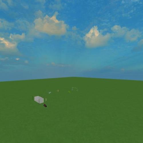 Arena Image