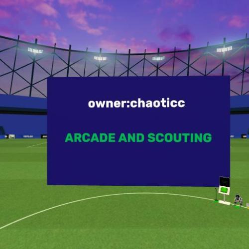 Arena Image