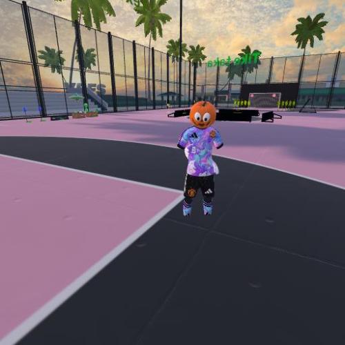 Arena Image