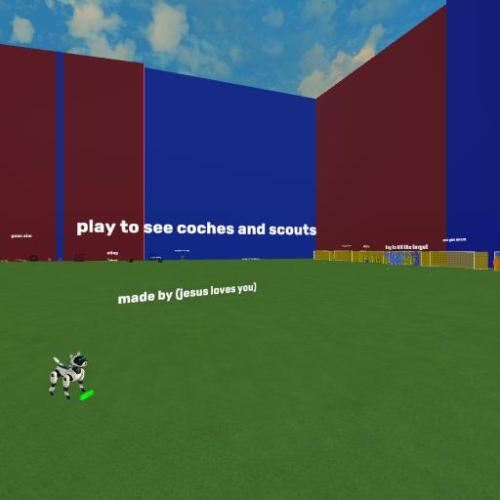 Arena Image