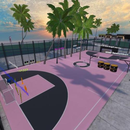 Arena Image