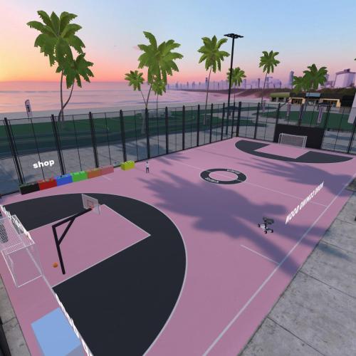 Arena Image