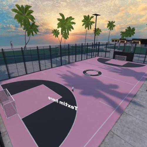 Arena Image