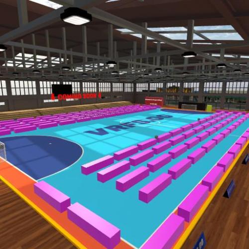 Arena Image