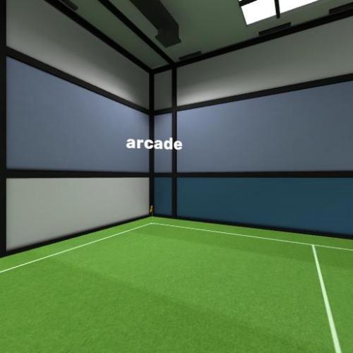 Arena Image