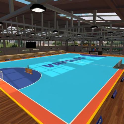 Arena Image