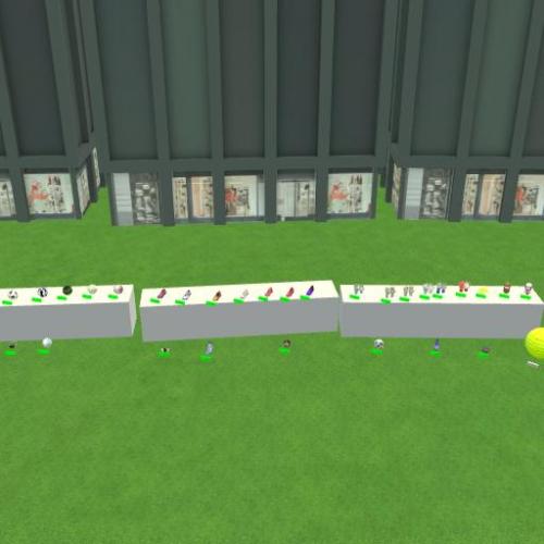 Arena Image