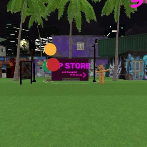 Arena Image