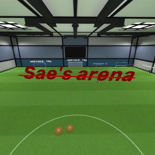 Arena Image