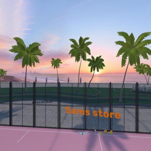 Arena Image