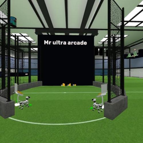 Arena Image