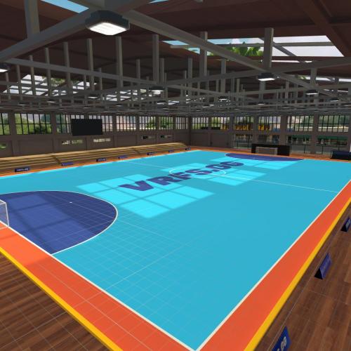 Arena Image