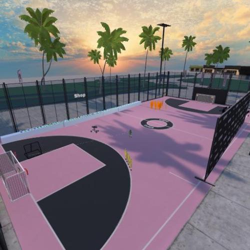 Arena Image
