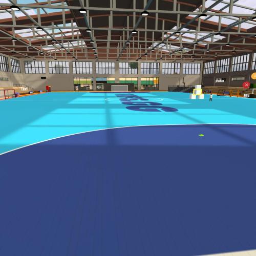 Arena Image