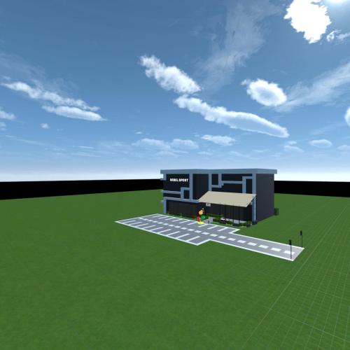 Arena Image