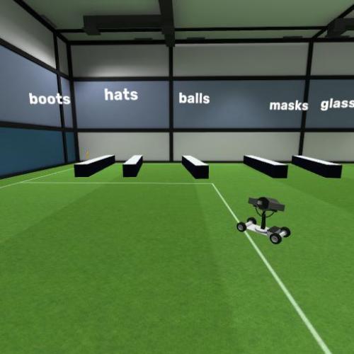 Arena Image