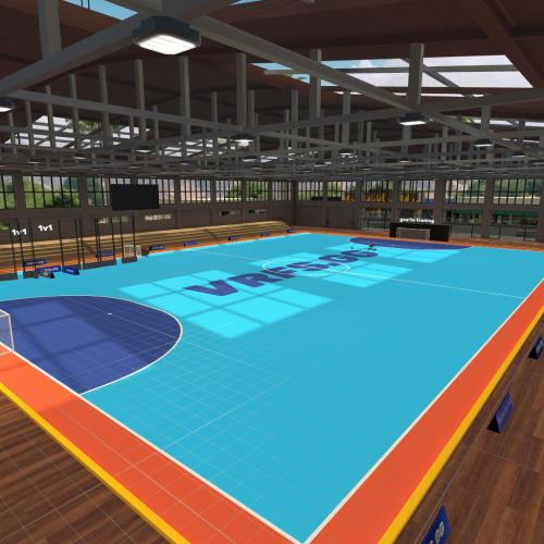 Arena Image