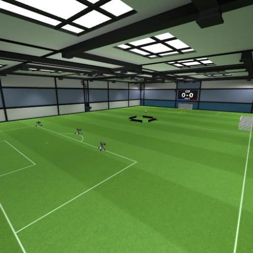 Arena Image