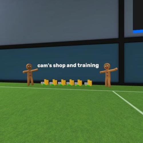 Arena Image