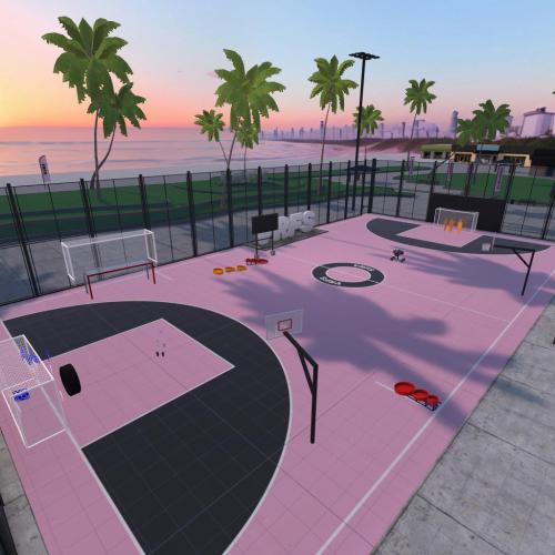 Arena Image
