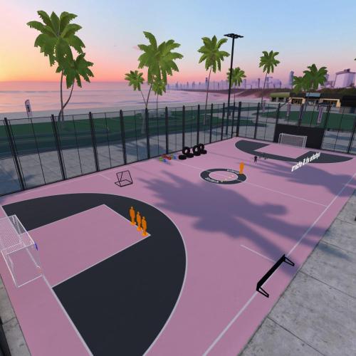 Arena Image
