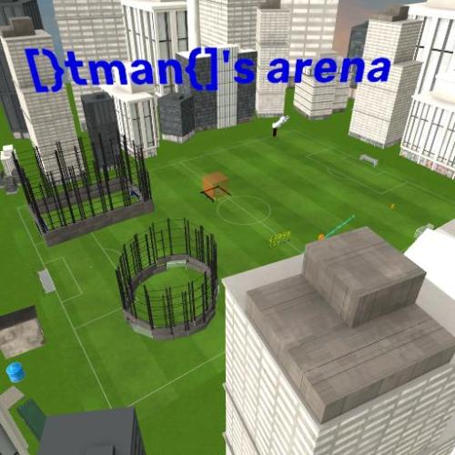 Arena Image