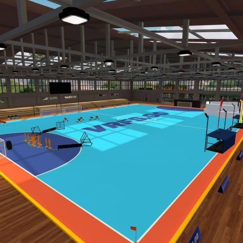 Arena Image