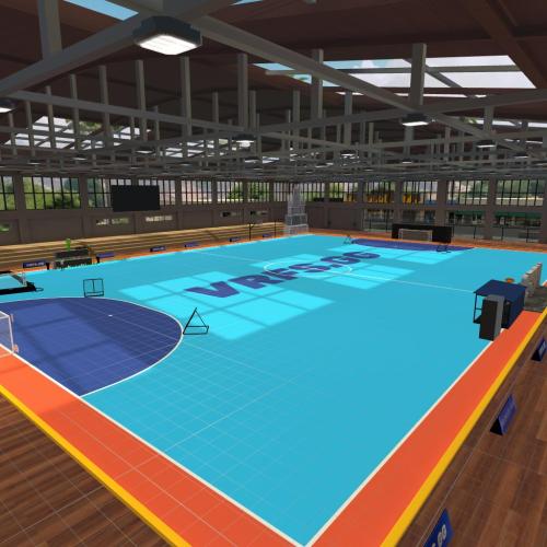 Arena Image